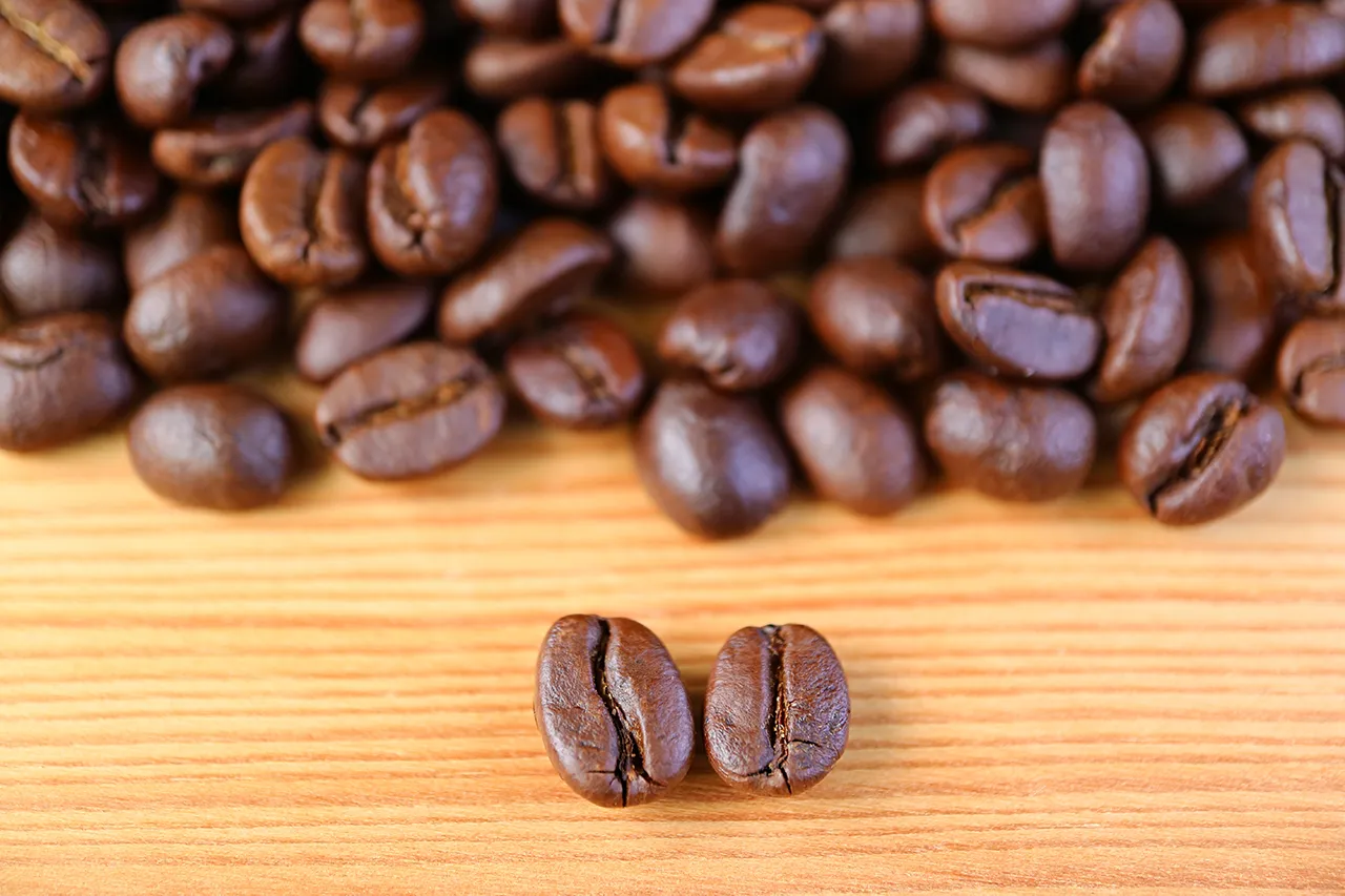 arabica vs robusta cover